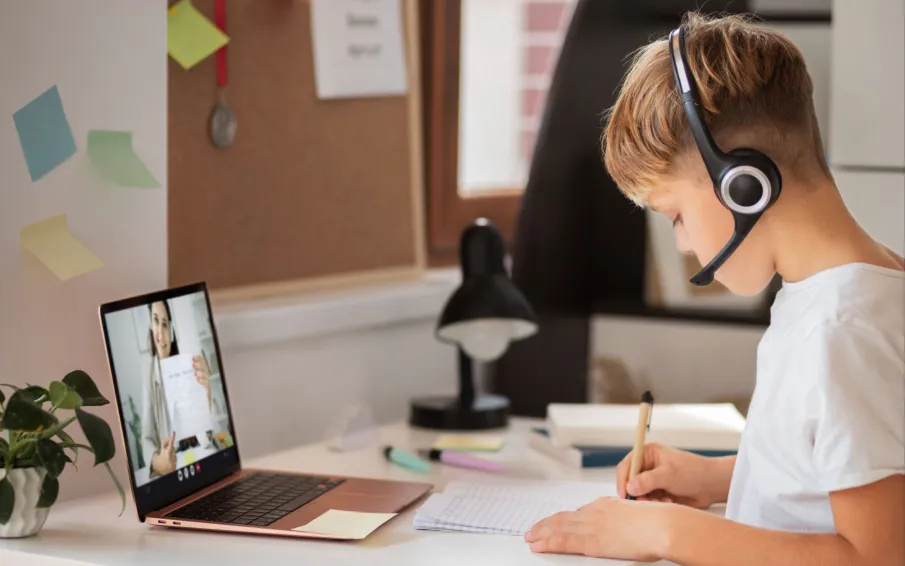 Организация образовательного процесса в дистанционном режиме