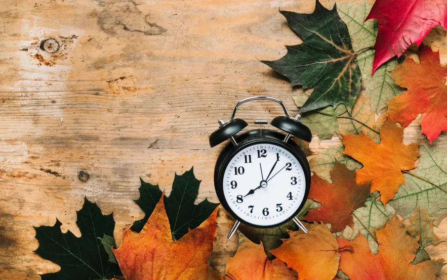 Информация к началу учебного года